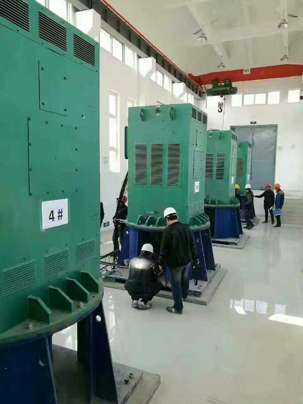 牡丹江某污水处理厂使用我厂的立式高压电机安装现场
